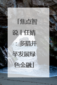 焦点智说丨任婧：多措并举发展绿色金融
