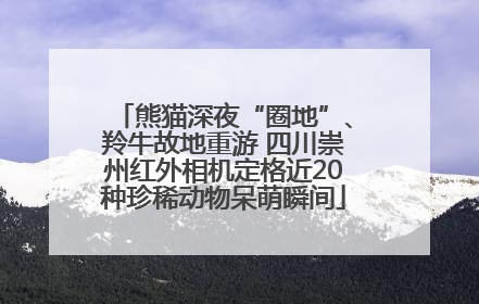 熊猫深夜“圈地”、羚牛故地重游 四川崇州红外相机定格近20种珍稀动物呆萌瞬间