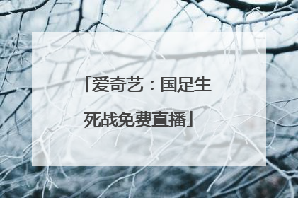 爱奇艺：国足生死战免费直播