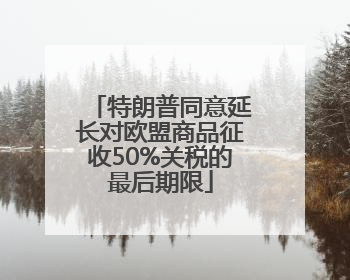 特朗普同意延长对欧盟商品征收50%关税的最后期限