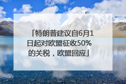 特朗普建议自6月1日起对欧盟征收50%的关税，欧盟回应