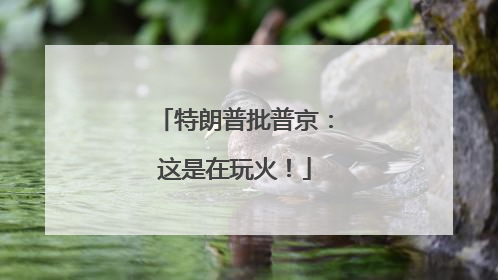 特朗普批普京：这是在玩火！