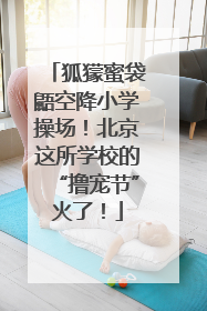 狐獴蜜袋鼯空降小学操场！北京这所学校的“撸宠节”火了！