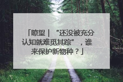 瞭望｜“还没被充分认知就难觅其踪”，谁来保护新物种？