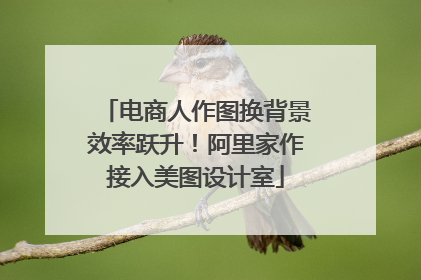 电商人作图换背景效率跃升！阿里家作接入美图设计室