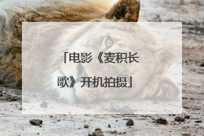 电影《麦积长歌》开机拍摄
