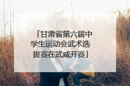 甘肃省第六届中学生运动会武术选拔赛在武威开赛