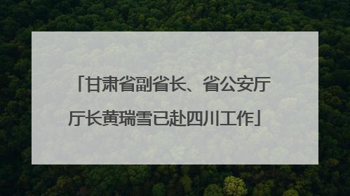 甘肃省副省长、省公安厅厅长黄瑞雪已赴四川工作