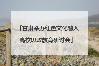 甘肃举办红色文化融入高校思政教育研讨会