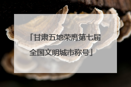 甘肃五地荣膺第七届全国文明城市称号