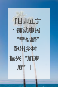 甘肃正宁：铺就惠民“幸福路” 跑出乡村振兴“加速度”