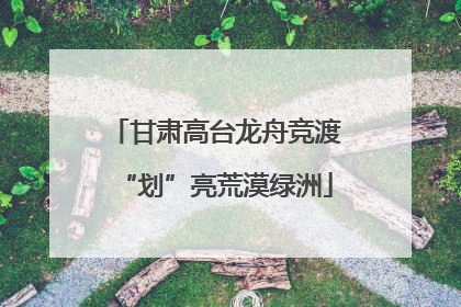 甘肃高台龙舟竞渡“划”亮荒漠绿洲