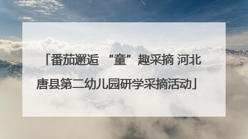 番茄邂逅 “童”趣采摘 河北唐县第二幼儿园研学采摘活动
