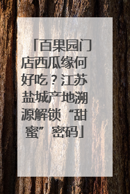百果园门店西瓜缘何好吃？江苏盐城产地溯源解锁“甜蜜”密码