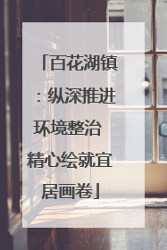 百花湖镇：纵深推进环境整治 精心绘就宜居画卷