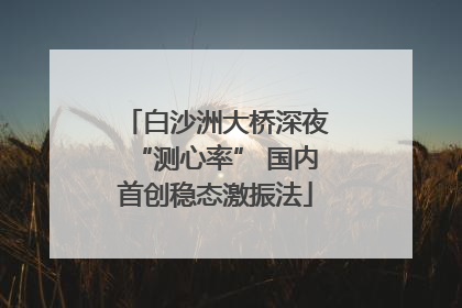白沙洲大桥深夜“测心率” 国内首创稳态激振法