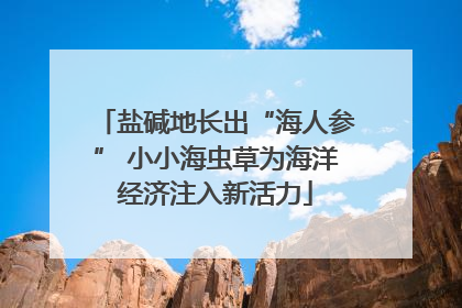 盐碱地长出“海人参” 小小海虫草为海洋经济注入新活力