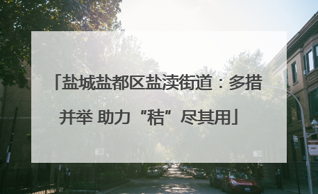 盐城盐都区盐渎街道：多措并举 助力“秸”尽其用