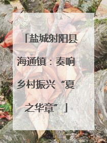 盐城射阳县海通镇：奏响乡村振兴“夏之华章”