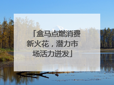 盒马点燃消费新火花，潜力市场活力迸发