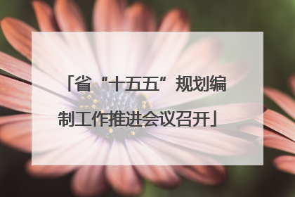 省“十五五”规划编制工作推进会议召开