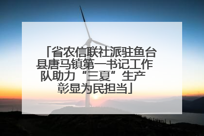 省农信联社派驻鱼台县唐马镇第一书记工作队助力“三夏”生产 彰显为民担当