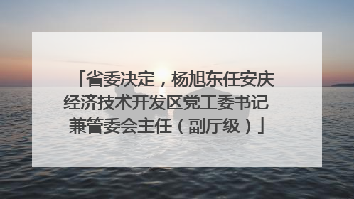 省委决定，杨旭东任安庆经济技术开发区党工委书记兼管委会主任（副厅级）