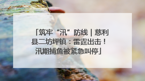 筑牢“汛”防线｜慈利县二坊坪镇：雷霆出击！汛期捕鱼被紧急叫停