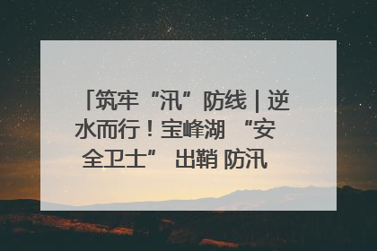 筑牢“汛”防线｜逆水而行！宝峰湖 “安全卫士” 出鞘 防汛应急再添硬核力量