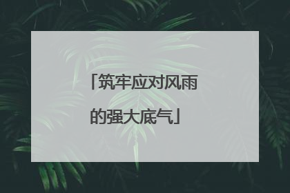 筑牢应对风雨的强大底气