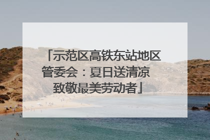 示范区高铁东站地区管委会：夏日送清凉 致敬最美劳动者