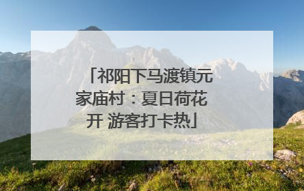 祁阳下马渡镇元家庙村：夏日荷花开 游客打卡热