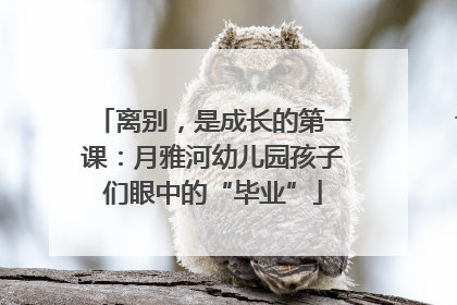 离别，是成长的第一课：月雅河幼儿园孩子们眼中的“毕业”