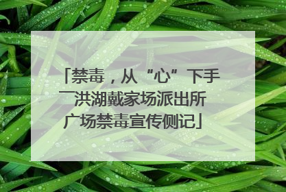 禁毒，从“心”下手――洪湖戴家场派出所广场禁毒宣传侧记