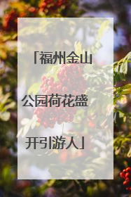 福州金山公园荷花盛开引游人