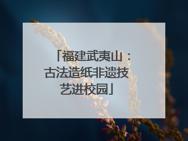 福建武夷山：古法造纸非遗技艺进校园