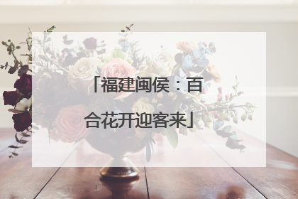 福建闽侯：百合花开迎客来
