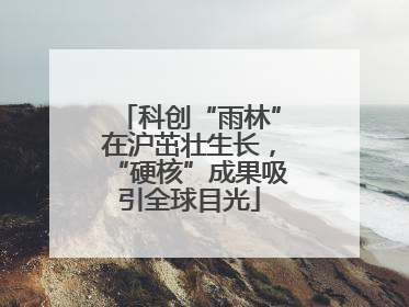 科创“雨林”在沪茁壮生长，“硬核”成果吸引全球目光