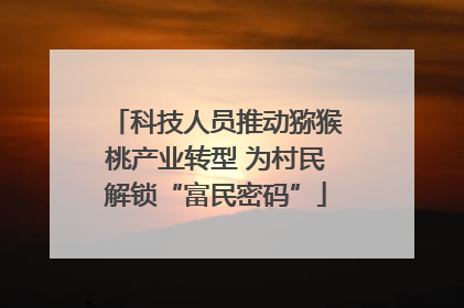 科技人员推动猕猴桃产业转型 为村民解锁“富民密码”