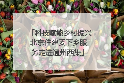 科技赋能乡村振兴 北京住建委下乡服务走进通州西集