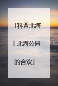 科普北海丨北海公园的合欢
