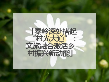 秦岭深处搭起“村光大道”：文旅融合激活乡村振兴新动能