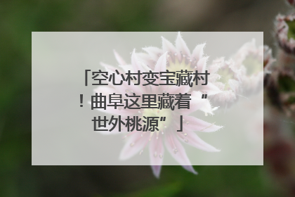 空心村变宝藏村！曲阜这里藏着“世外桃源”