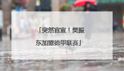 突然官宣！樊振东加盟德甲联赛