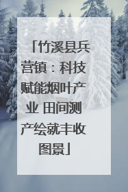 竹溪县兵营镇：科技赋能烟叶产业 田间测产绘就丰收图景