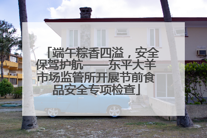 端午粽香四溢，安全保驾护航——东平大羊市场监管所开展节前食品安全专项检查