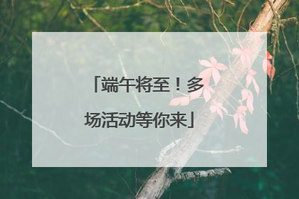 端午将至！多场活动等你来