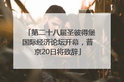 第二十八届圣彼得堡国际经济论坛开幕，普京20日将致辞