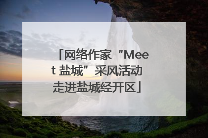 网络作家“Meet 盐城”采风活动走进盐城经开区
