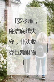 罗孝廉，廉洁底线失守，非法收受巨额财物